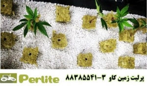 پرليت يا کودهاي شيميايي؟ Perlite