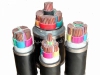 :: فروش انواع کابل های فشار قوی ، کابل افشان و نیمه افشان ، کابل فشار ضعیف و ...