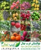 خرید نهال از نهالستان با قیمت فروش مناسب