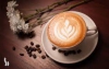 بهترین قهوه شهر , قهوه کافه 435